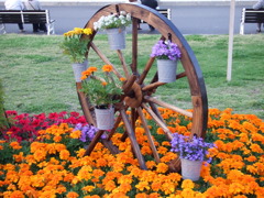 DSCF0040