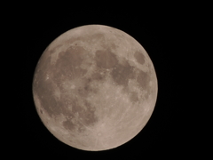 DSCN0116