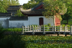 P1030210