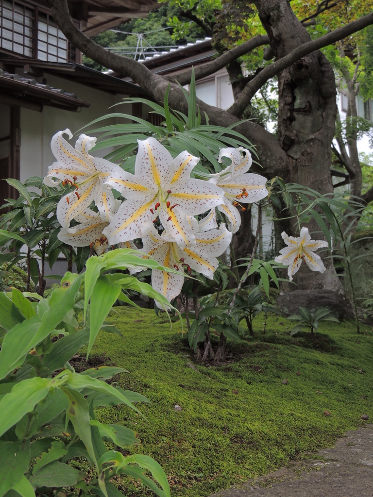 DSCN0539