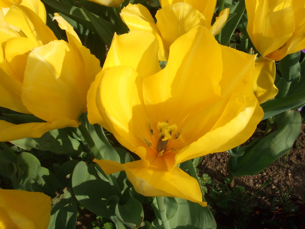 DSCF0034