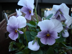 DSCN0074