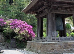 DSCN0156
