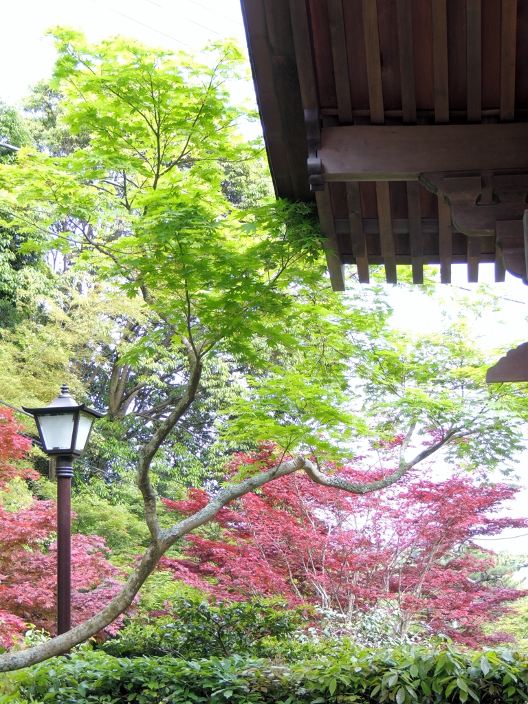 DSCN0200