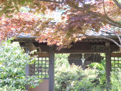 DSCN0201