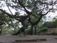 DSCF4275