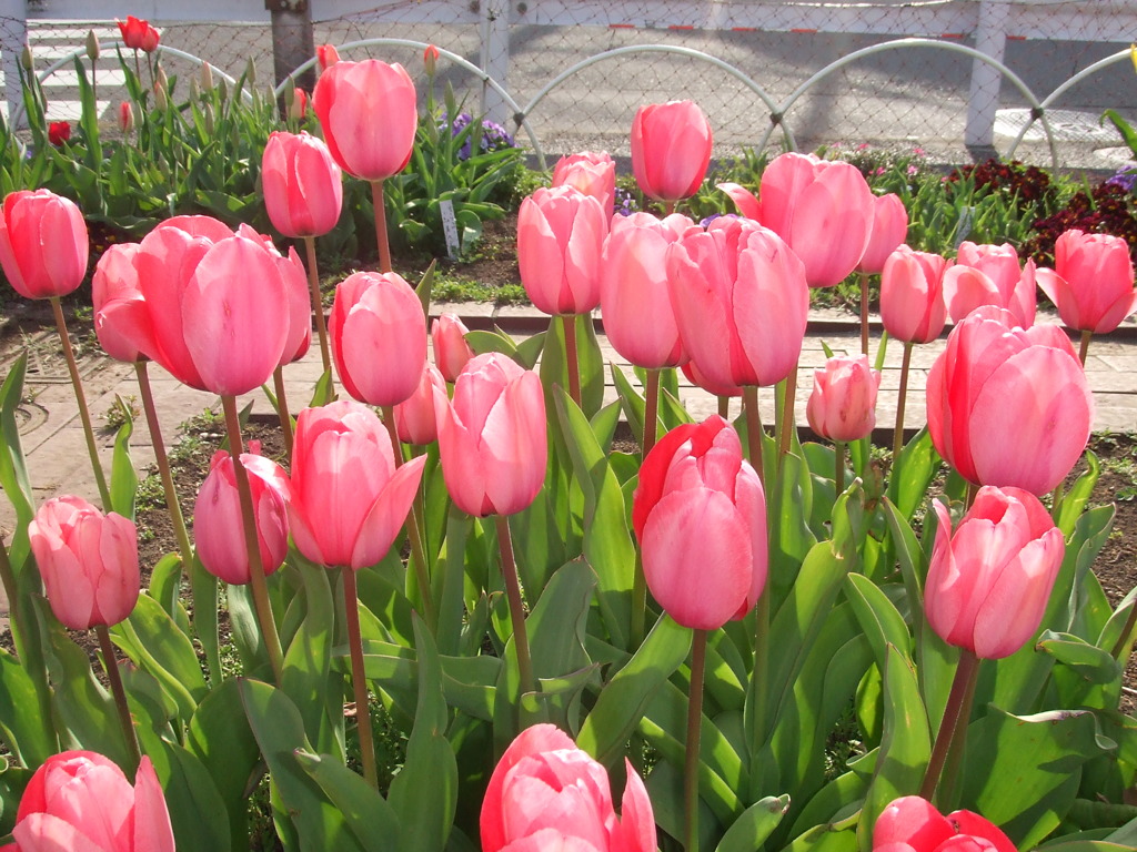 DSCF0031