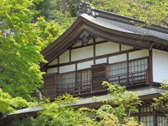 DSCN0149