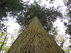 DSCN0174