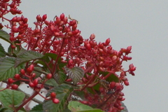 P1020907