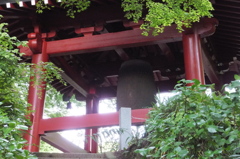 DSCF3670