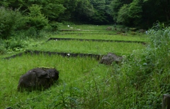 P1020879