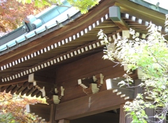 DSCN0199