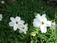 DSCF0028