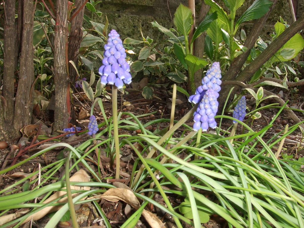 DSCF0027