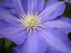 P5030025