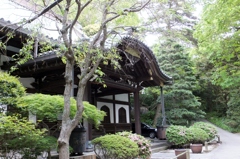 DSCF3673