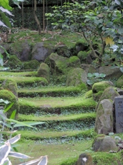 DSCN0175
