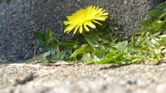 P1020219
