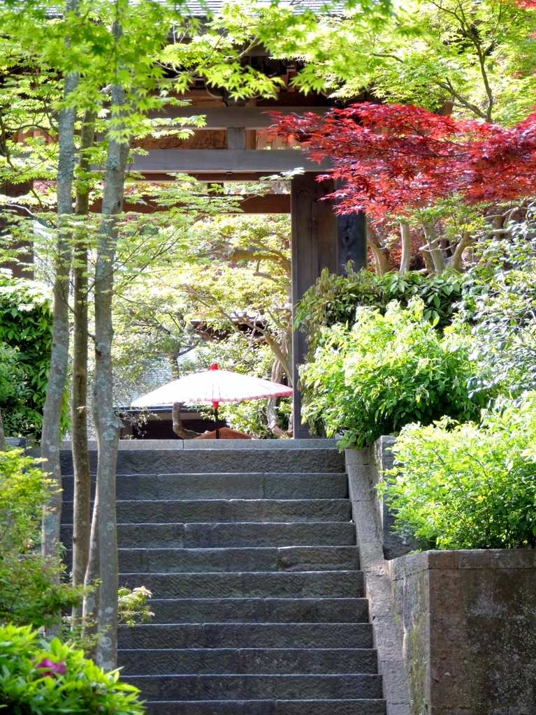 DSCN0202