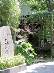 DSCN0154