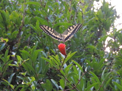 DSCN0717