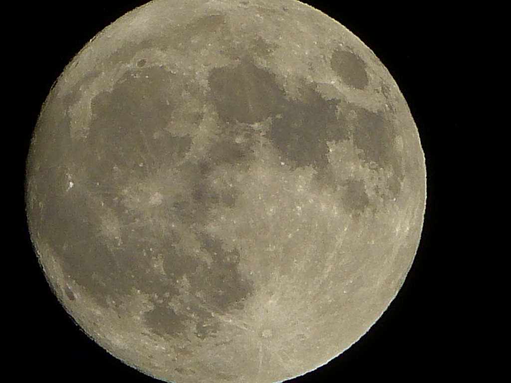 P1020512