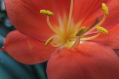 DSCF3674