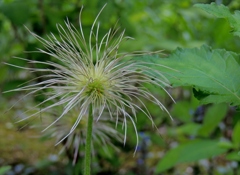 DSCN0162