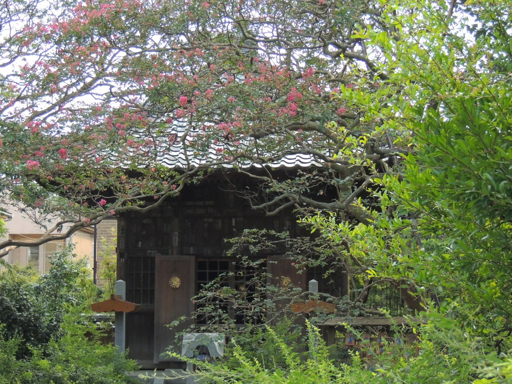 DSCN0715