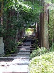 DSCN0153