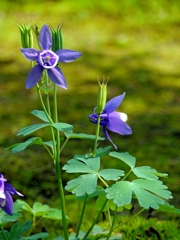DSCN0196