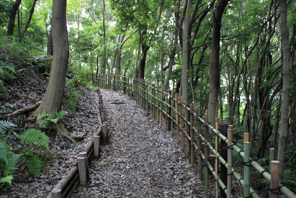 IMG_6040 (1024x683) (2) - コピー