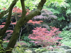 DSCN0176