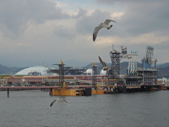 DSCN1470