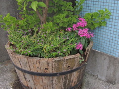 DSCN0722