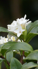 P1020229
