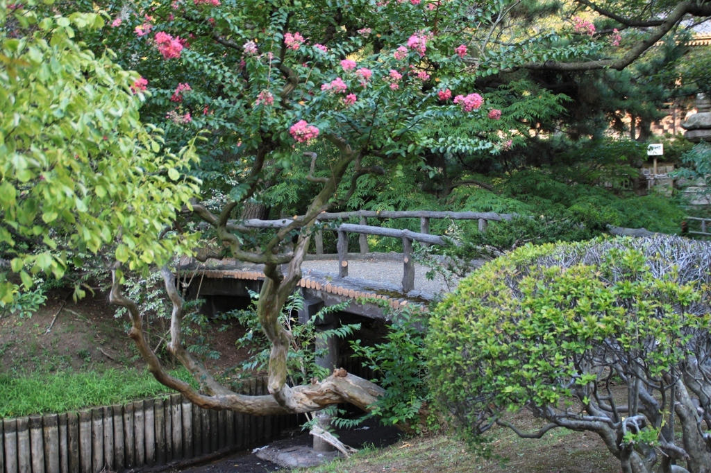 IMG_6604 - コピー (1280x853)