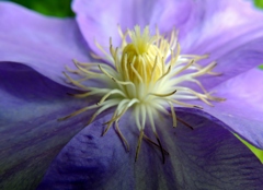 DSCN0180