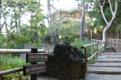P1030206
