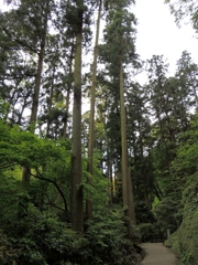 DSCN0173