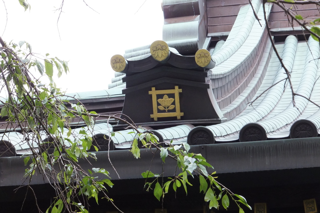 DSCF3672