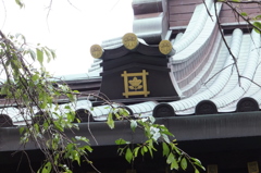 DSCF3672