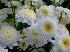 DSCF0042