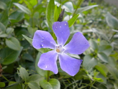 DSCN0394