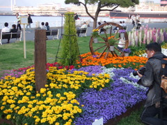DSCF0038