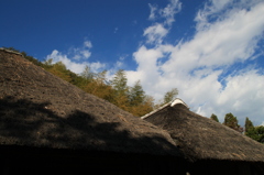 IMG_7260