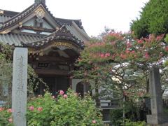 DSCN0725