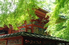 高尾山