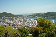 初夏の千光寺